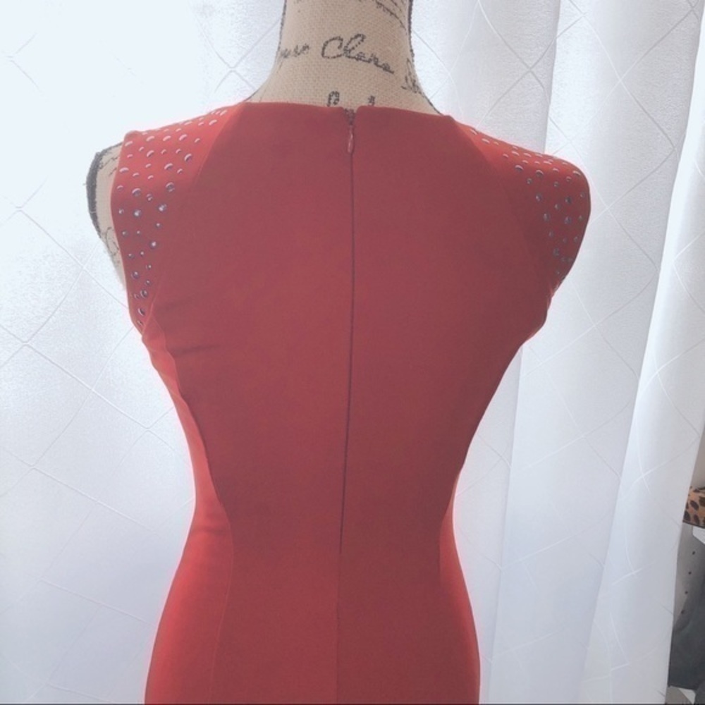 BB Dakota dress - Picture 5 of 7